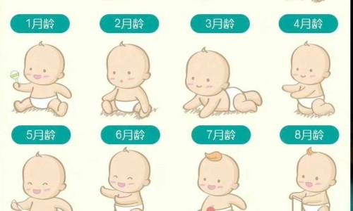 女生内分泌失调如何调理-女生内分泌失调脸上长痘痘怎么调理网- 女生内分泌失调怎么调理知识,分享女内分泌失调怎么调理吃啥药